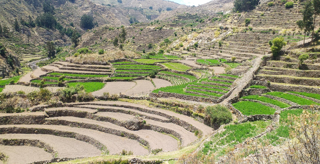 Andenería en Andamarca - Valle del Sondondo