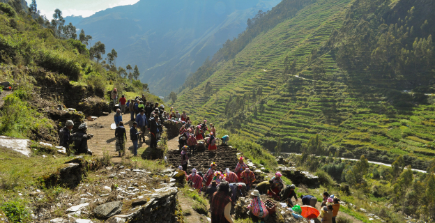 Qullana, práctica tradicional durante la siembra