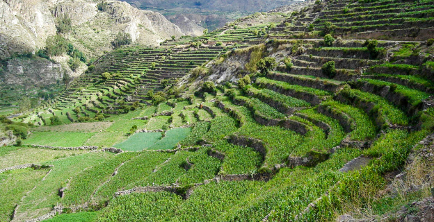 Andenería en Andamarca - Valle del Sondondo