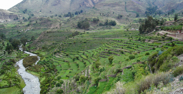 Andenería en Andamarca - Valle del Sondondo