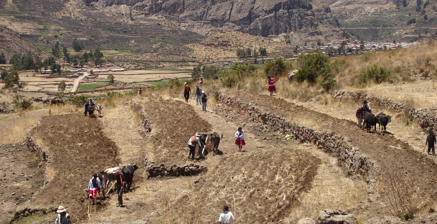 Comuneros y comuneras en la Fiesta de la Siembra, en los andenes de Andamarca.