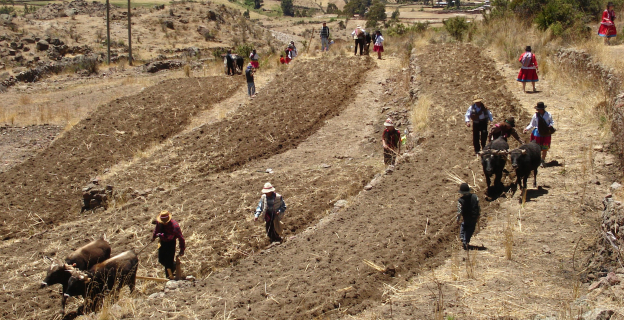En la Fiesta de la siembra se hace pago a la Pachamama, al agua y se celebra.