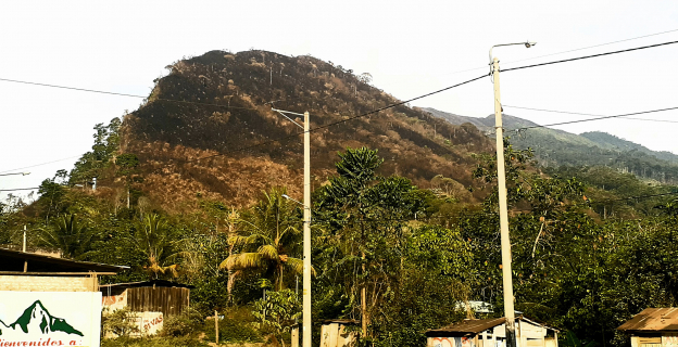 Con la finalidad de limpiar la maleza de una forma rápida, se opta por la quema sin medir las consecuencias y el impacto visual, natural y ambiental
