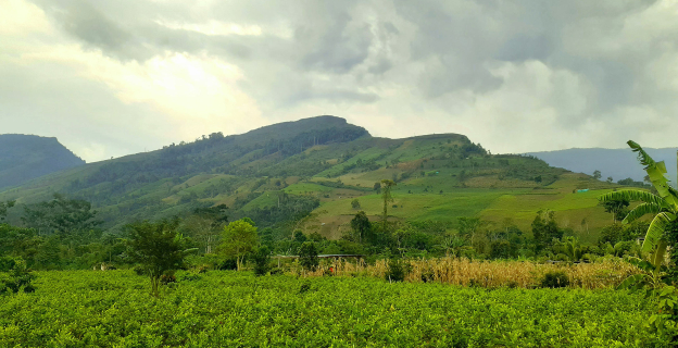 Paisaje de sierra en ceja de selva