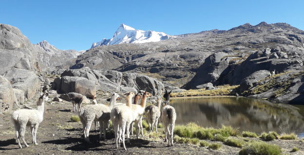 Vista del Apu Pariacaca