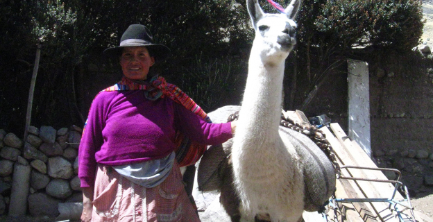 Mujer tanteña con una llama carguera