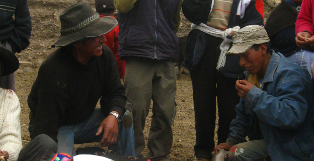 Ritual ganadero de la herranza en Tanta