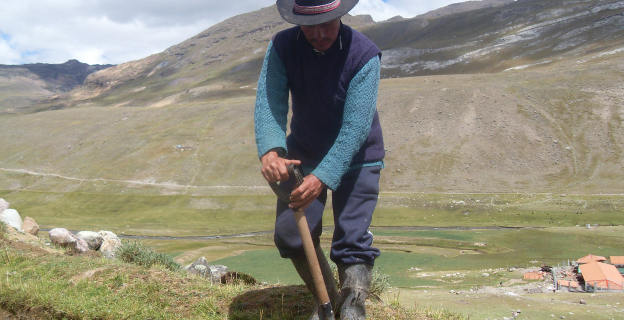 Limpia acequia en Tanta
