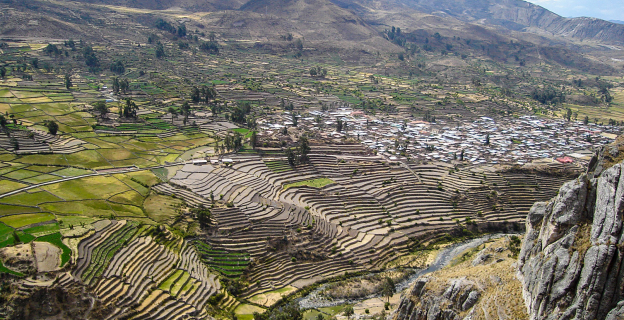 Andenería en Andamarca - Valle del Sondondo