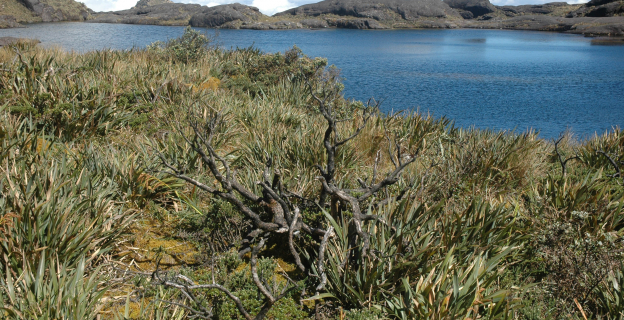 Vista panorámica de la laguna Páramo de Pacaipampa - Ayabaca