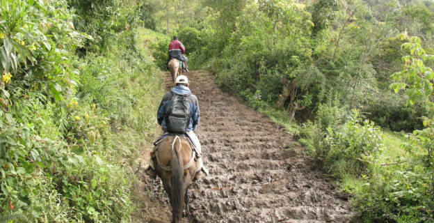 Ruta Salalá que conduce a la Laguna Negra